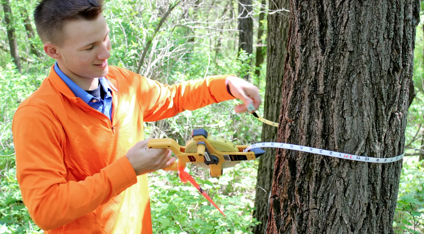 Boy in orange shirt measuring radius of a tree in the woods