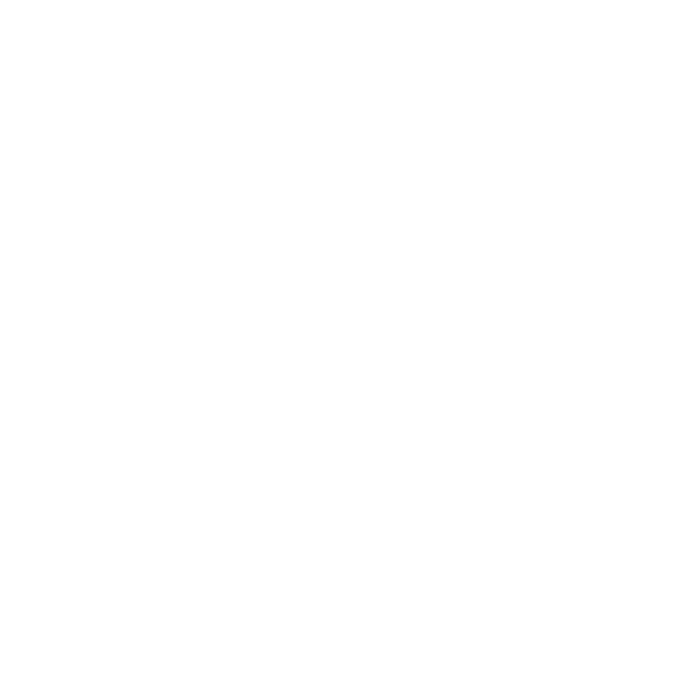 White Andis Foundation Logo
